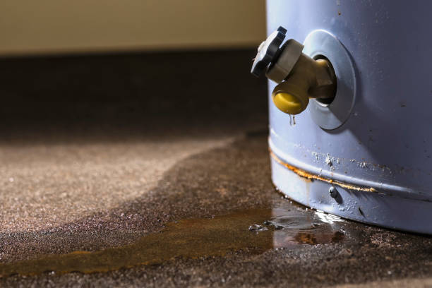 Best Ceiling water damage repair  in Melrose Park, NY