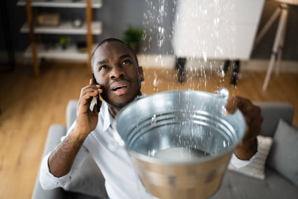 Best Professional water damage repair  in Melrose Park, NY