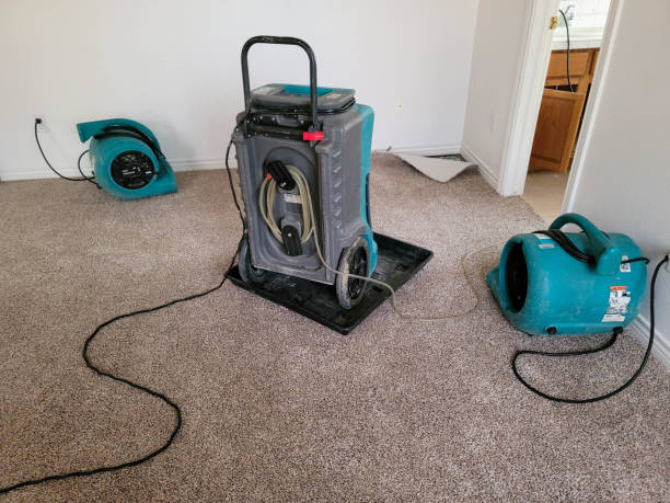 Best Fire Damage Restoration  in Melrose Park, NY