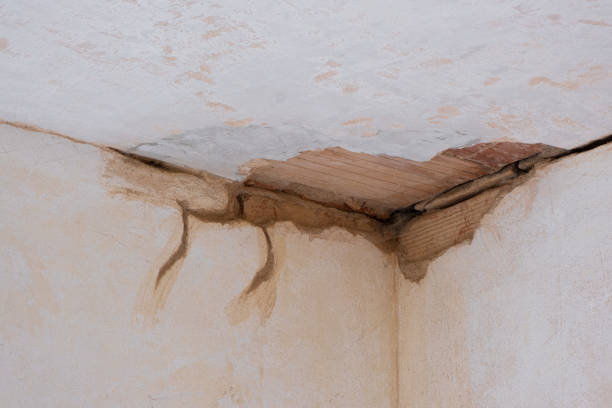 Best Water damage restoration cost  in Melrose Park, NY