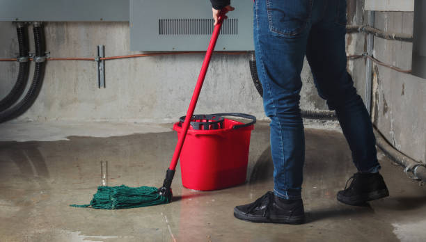Best Water damage restoration services  in Melrose Park, NY