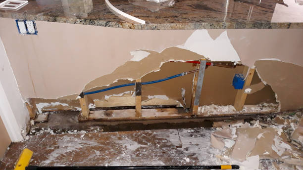 Best Water damage cleanup near me  in Melrose Park, NY