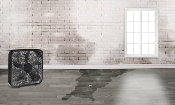 Best Water damage restoration insurance claims  in Melrose Park, NY
