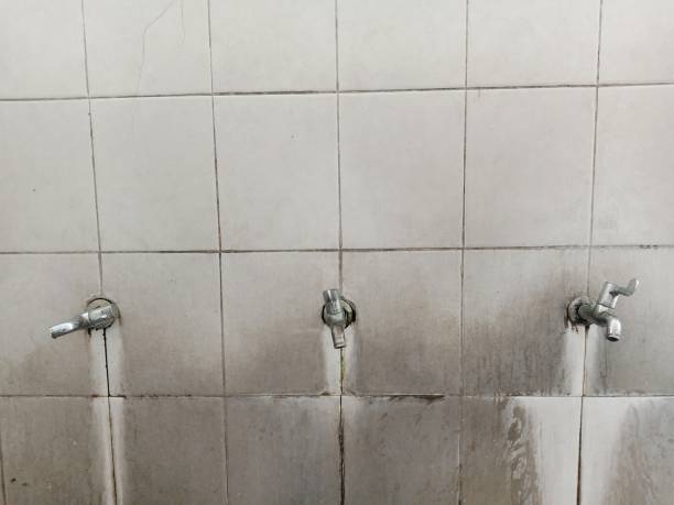 Reliable Melrose Park, NY Water damage restoration Solutions