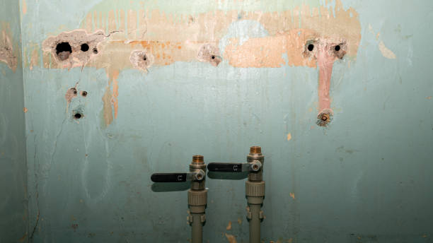 Best Ceiling water damage repair  in Melrose Park, NY